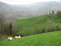 (128) 2007 Campagne